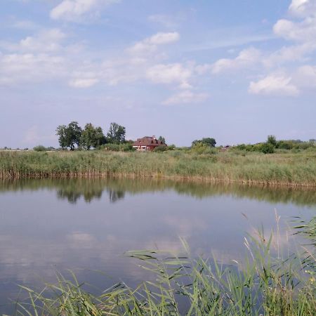 Rybakowka Villa Rejowiec Dış mekan fotoğraf