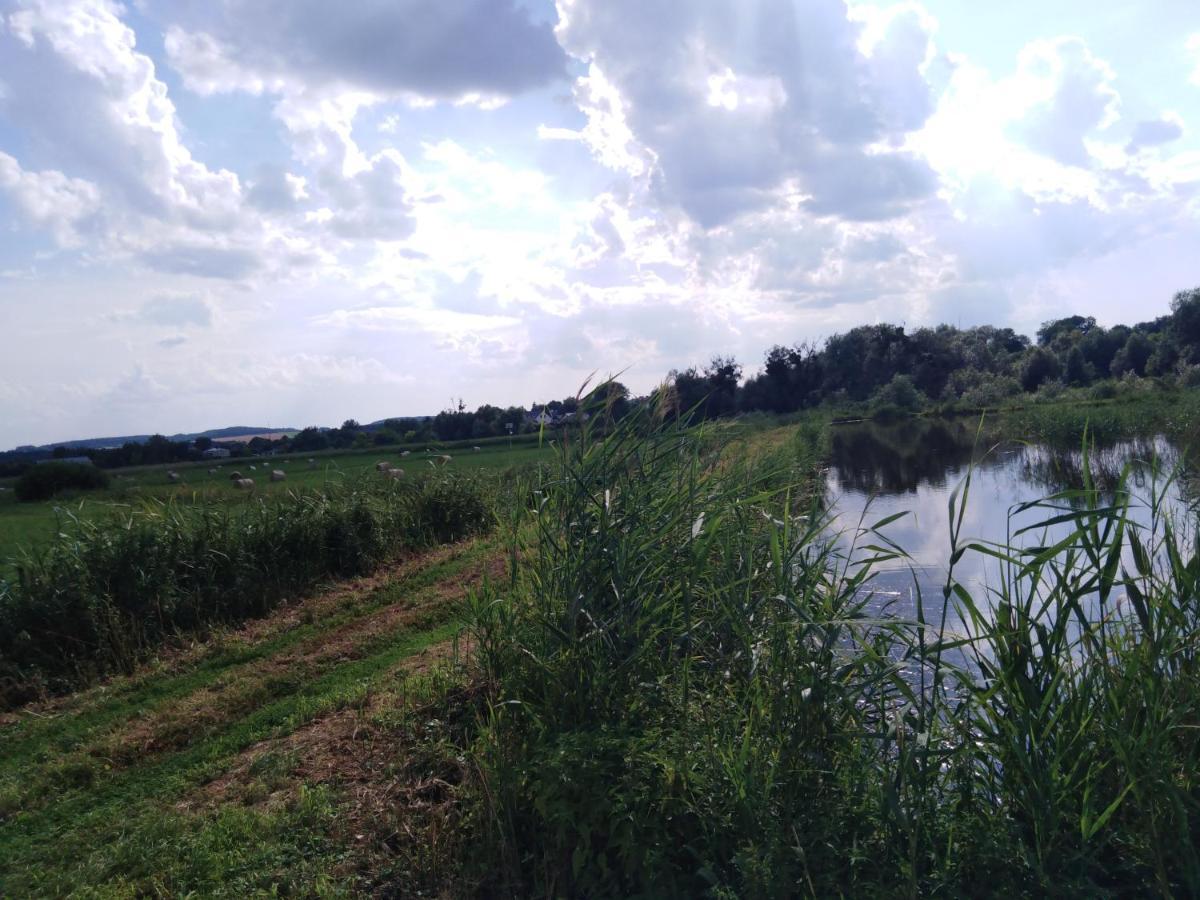 Rybakowka Villa Rejowiec Dış mekan fotoğraf